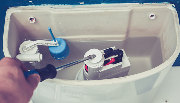 Toilet Repairs