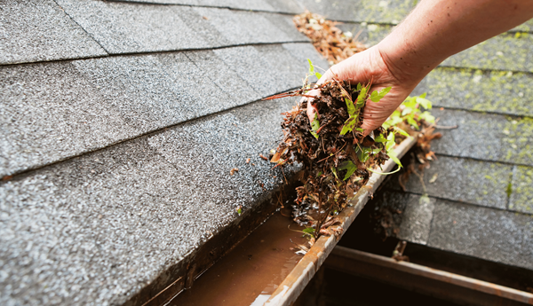 Gutter Cleaning
