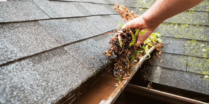 Gutter Cleaning