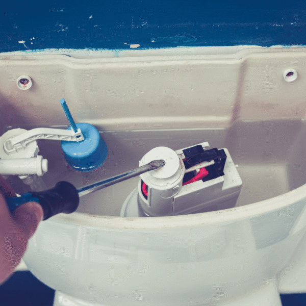 Toilet Repairs